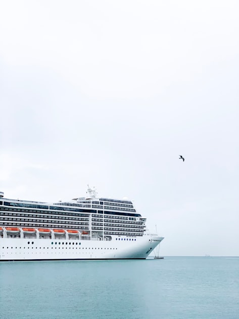 Cruise Port Guides: What You Need to Know